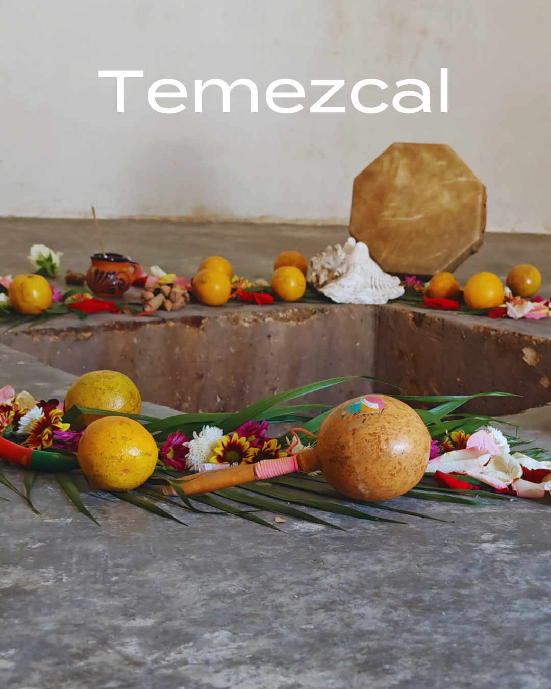 temezcal nicaragua surf and yoga retreat
