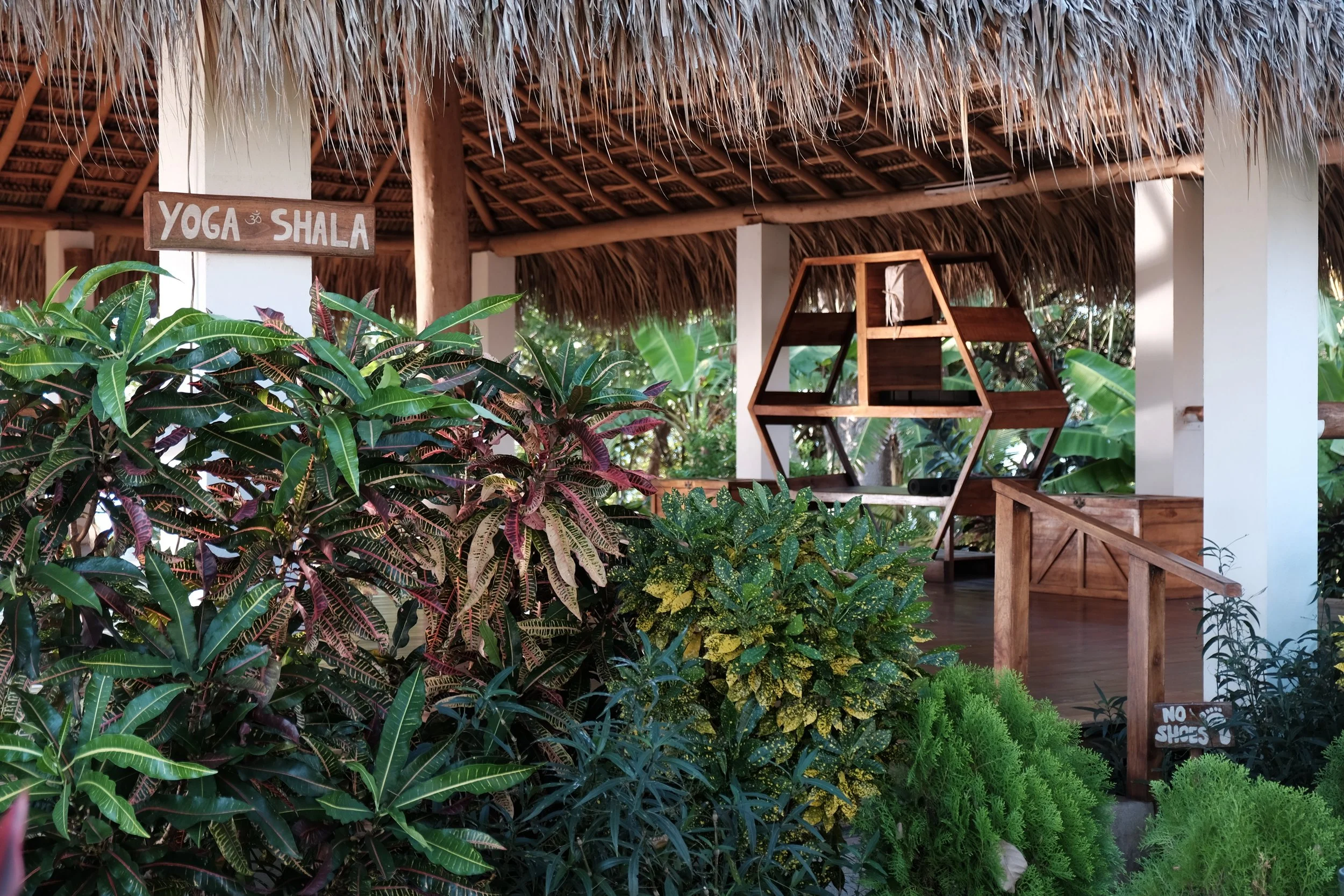 Yoga shala with a wooden prop shelf and lush garden surrounds under a thatched roof at a Nicaragua surf and yoga retreat