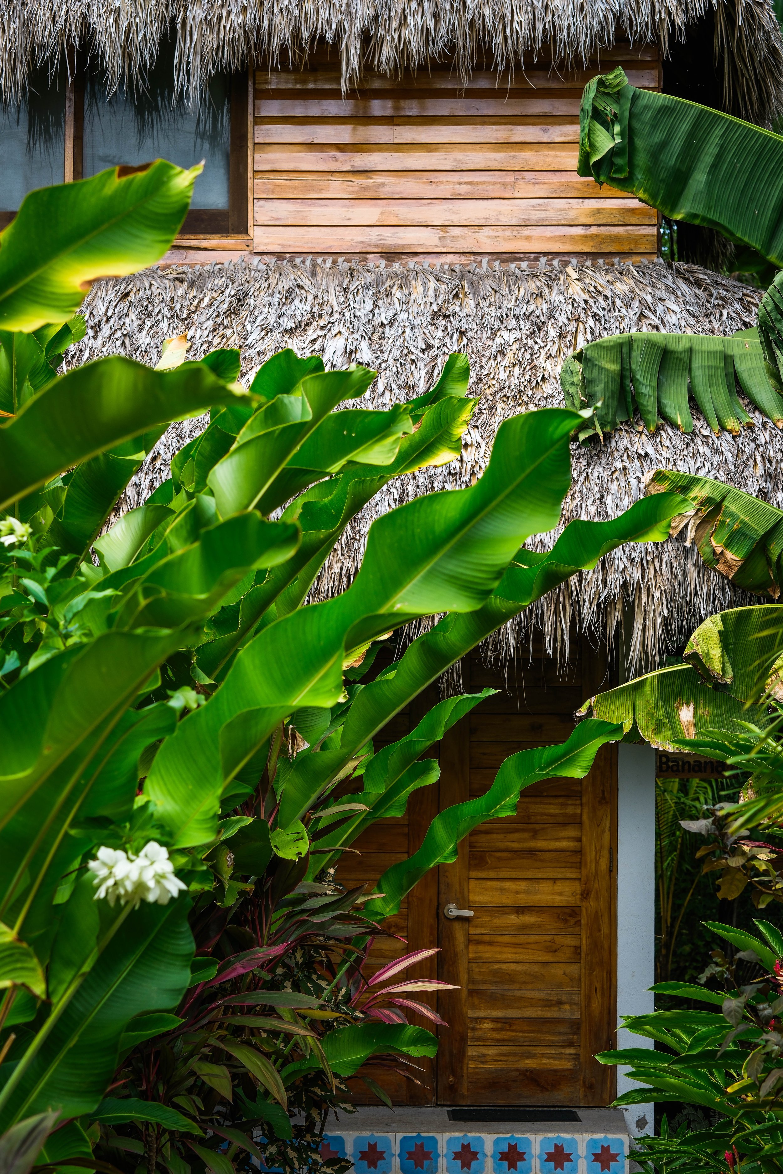 Oceanfront retreat cabana framed by lush banana tree leaves with colorful handmade Nicaraguan tiles, Atma Yoga Retreat