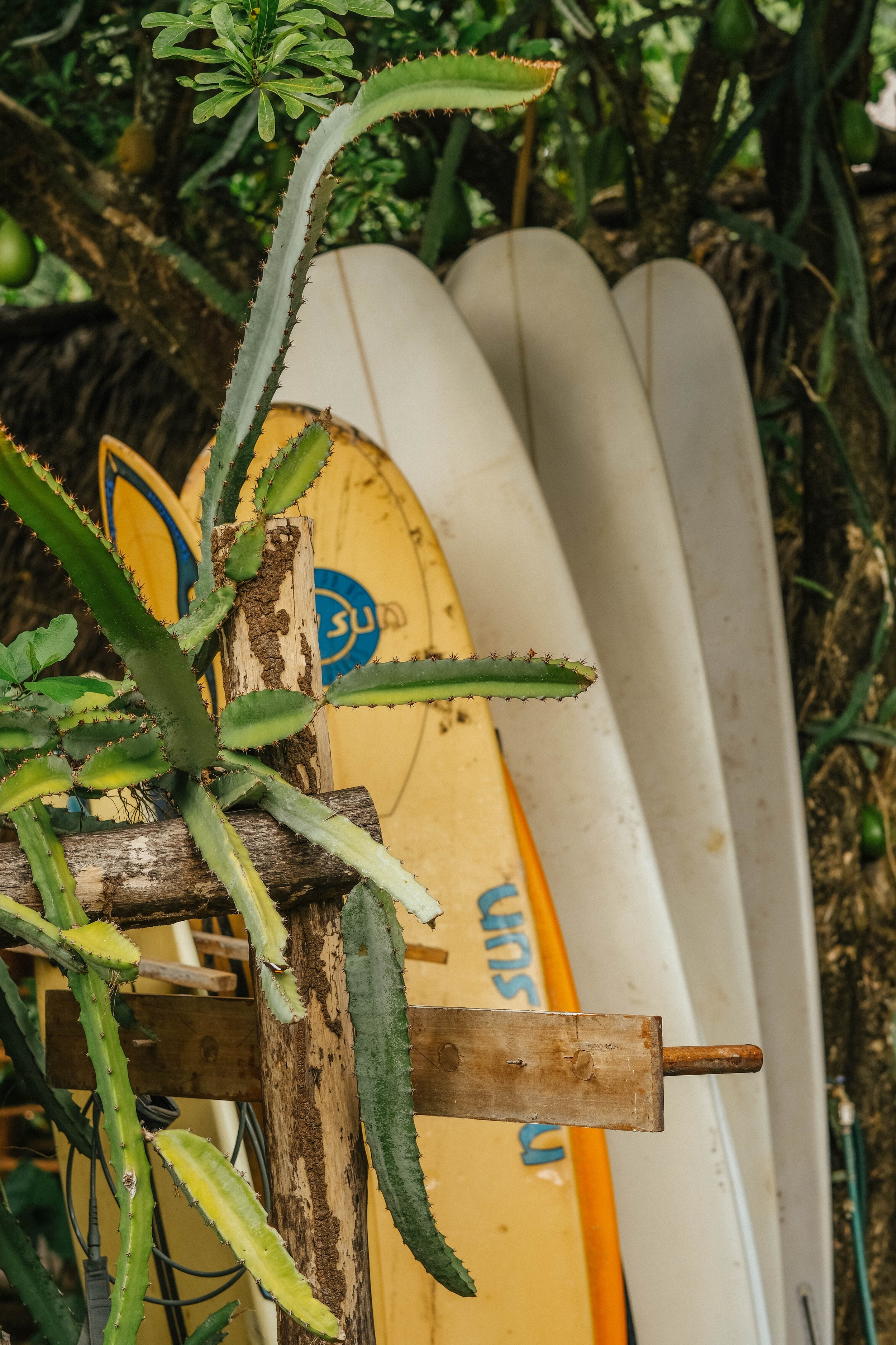 surfing at surf retreat in nicaragua