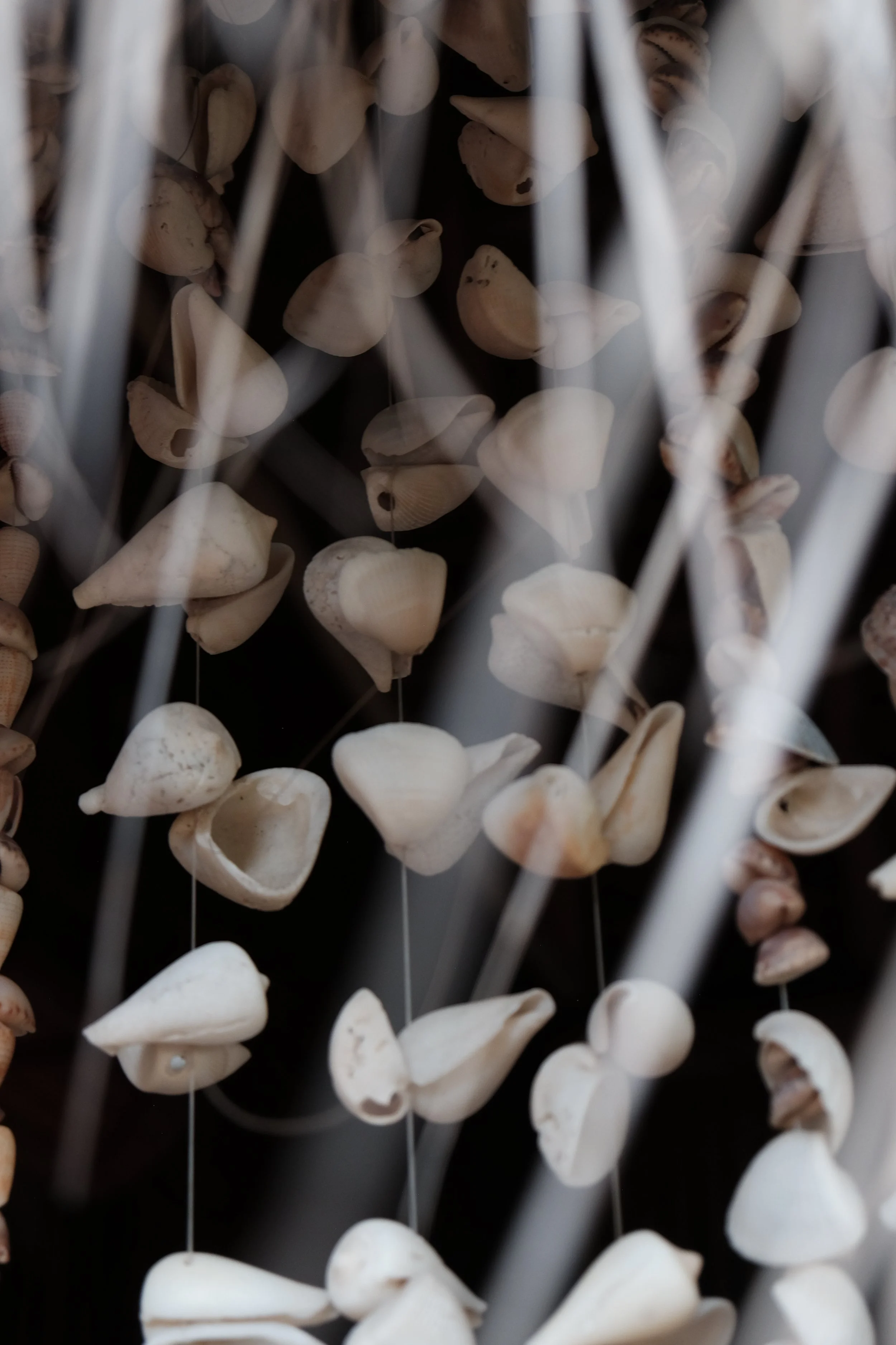 Close-up of a handmade seashell curtain at the entrance to a massage shala at Still Salty Escape in Nicaragua