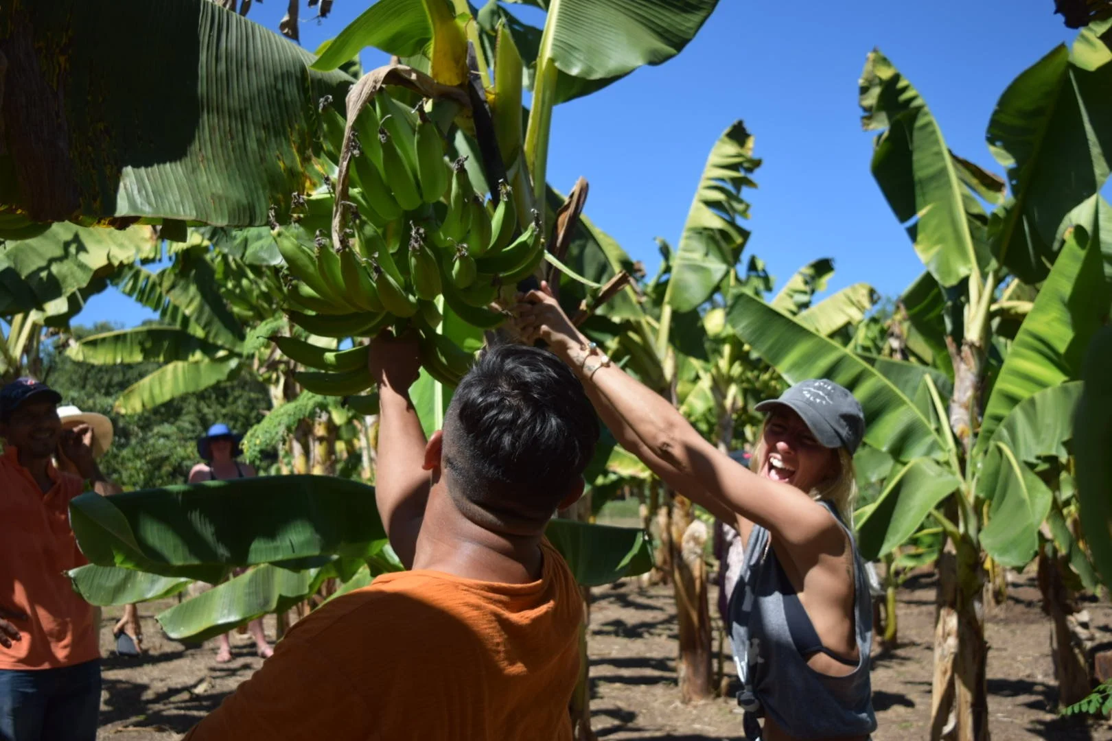 Retreat guest cutting a plantain during an organic farm tour at a surf and yoga retreat in Nicaragua