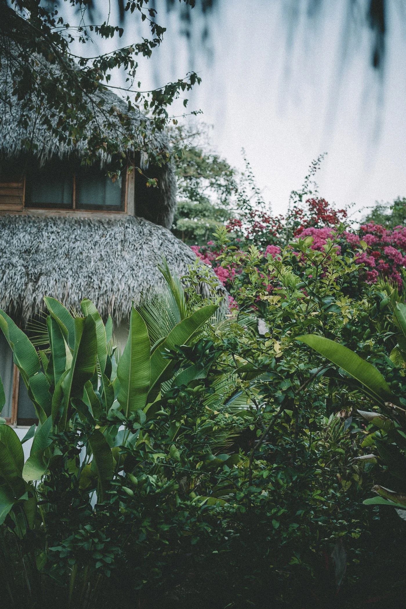 The thatched-roof Papaya cabaña surrounded by tropical gardens and bougainvillea at a Nicaragua surf and yoga retreat venue