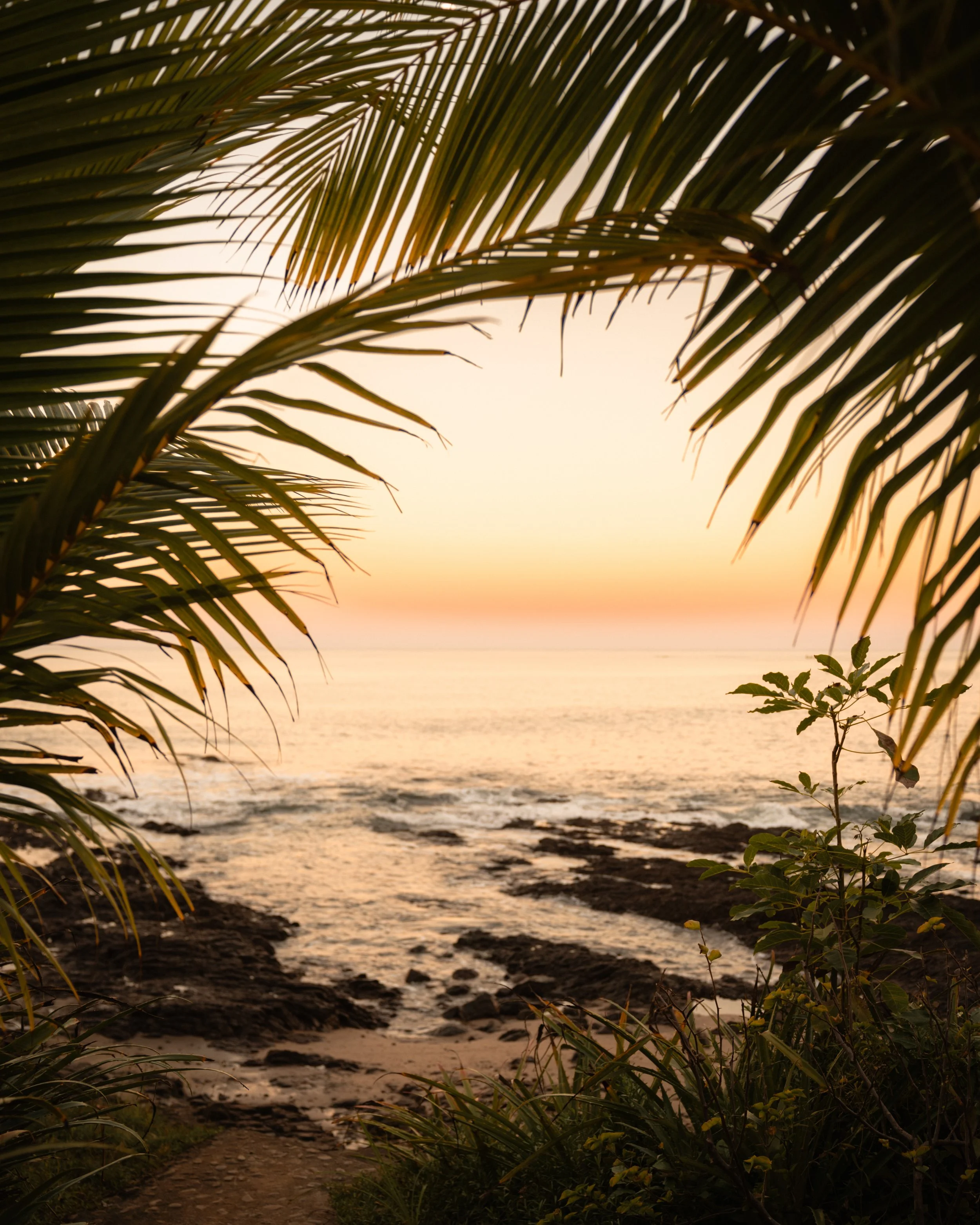 Palm-framed view of the rocky oceanfront shoreline at a pastel sunset at a Nicaragua surf and yoga retreat