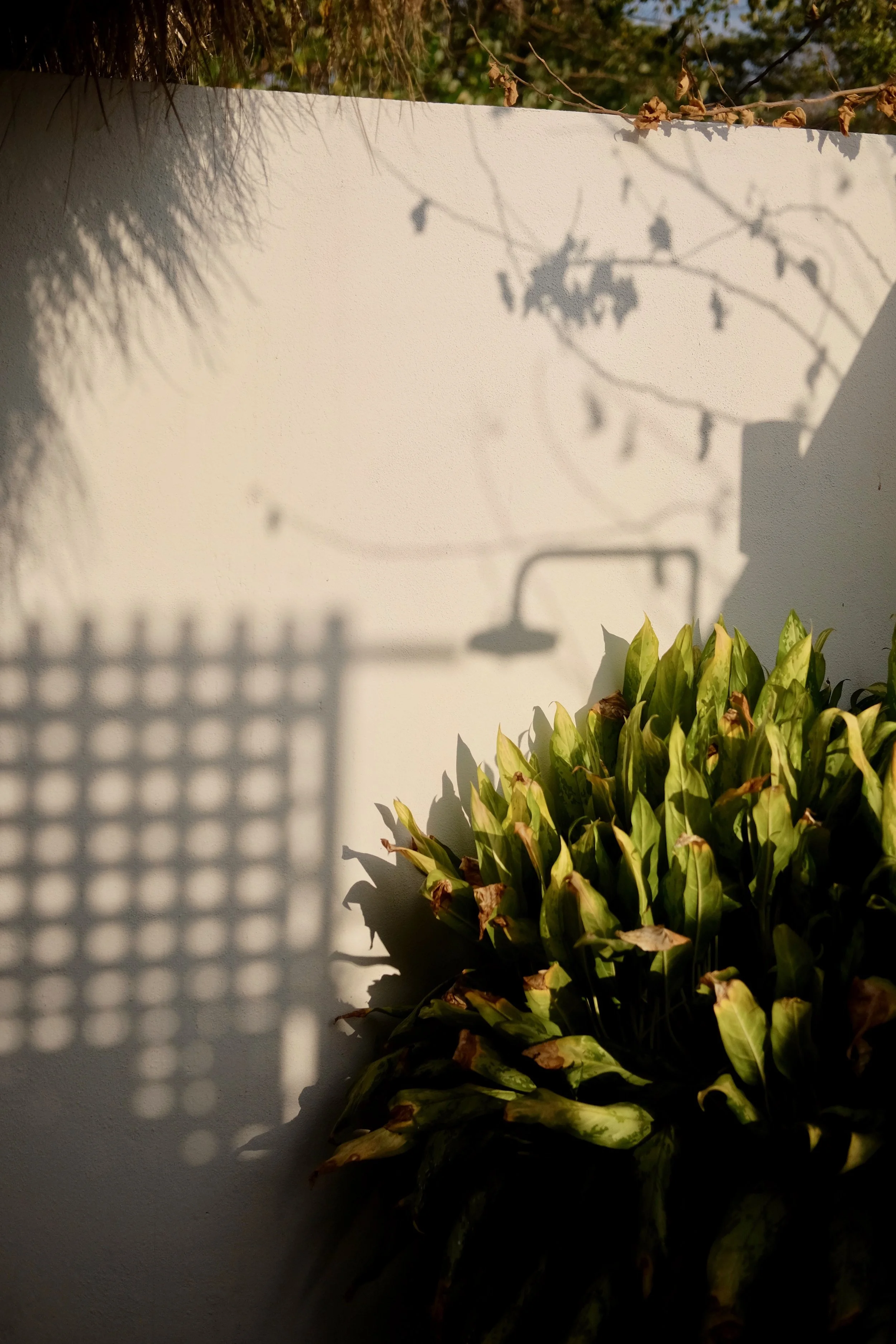 Hot water shower and tropical plants in a covered outdoor bathroom at a Nicaragua surf and yoga retreat cabaña