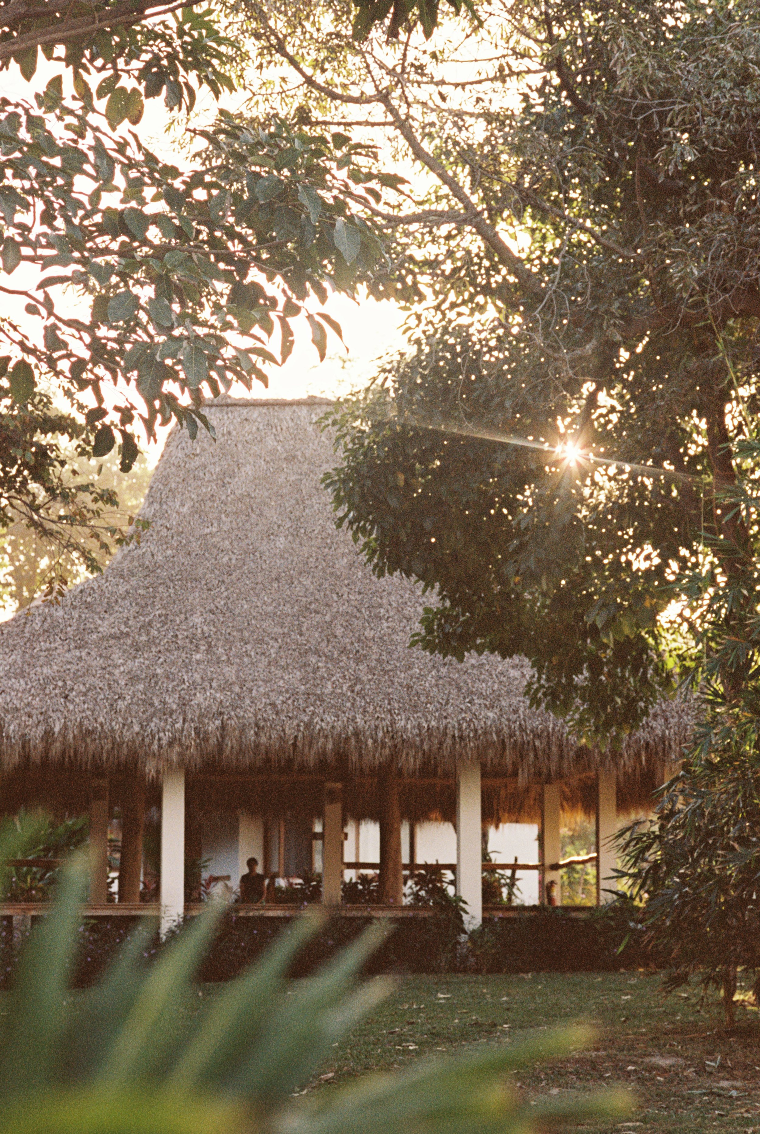 Open-air thatched-roof yoga shala at golden hour framed by tropical trees at Still Salty Escape surf and yoga retreat in Nicaragua