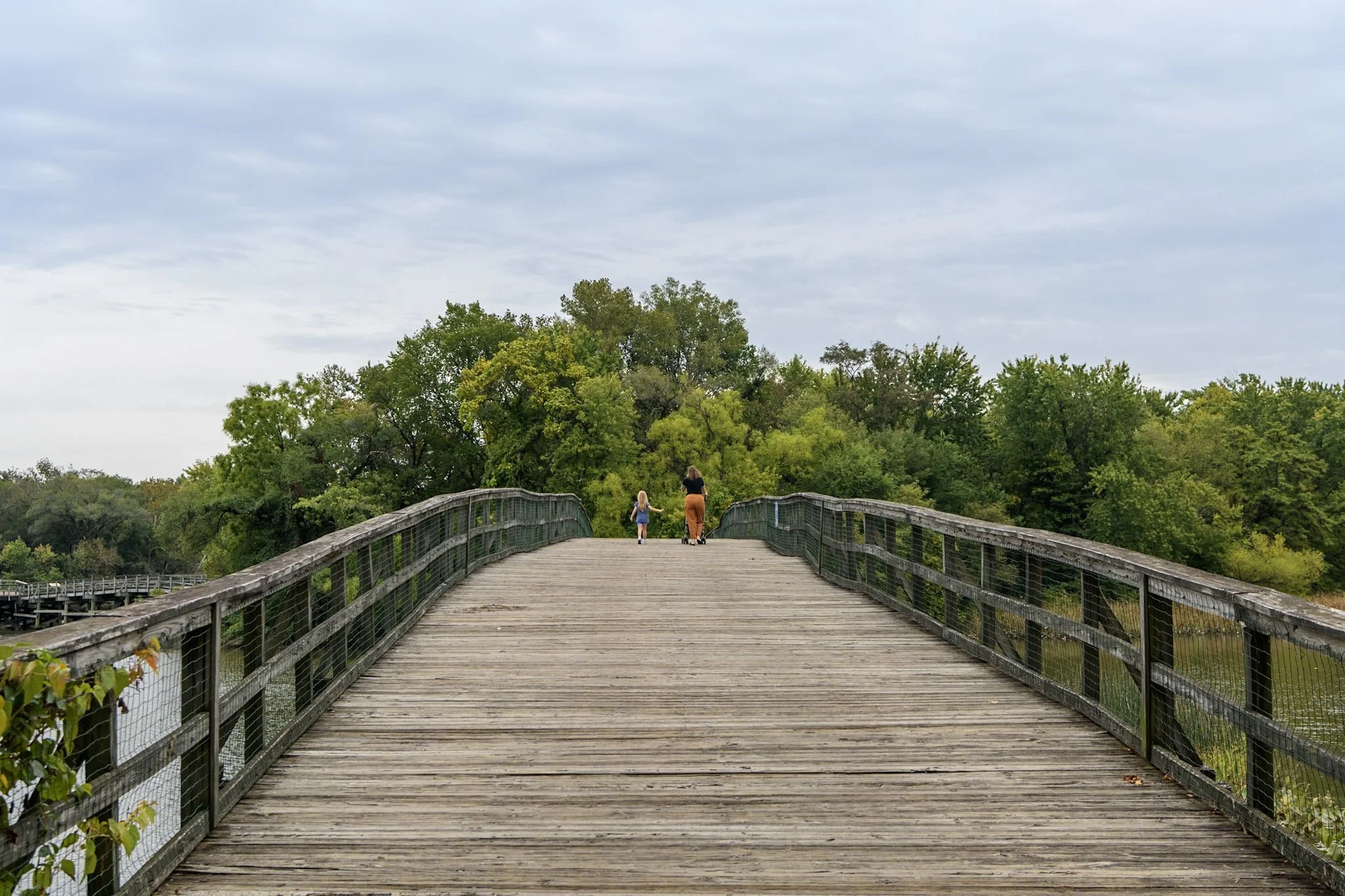 Ecology Walk with DC Master Naturalists and Living Classrooms