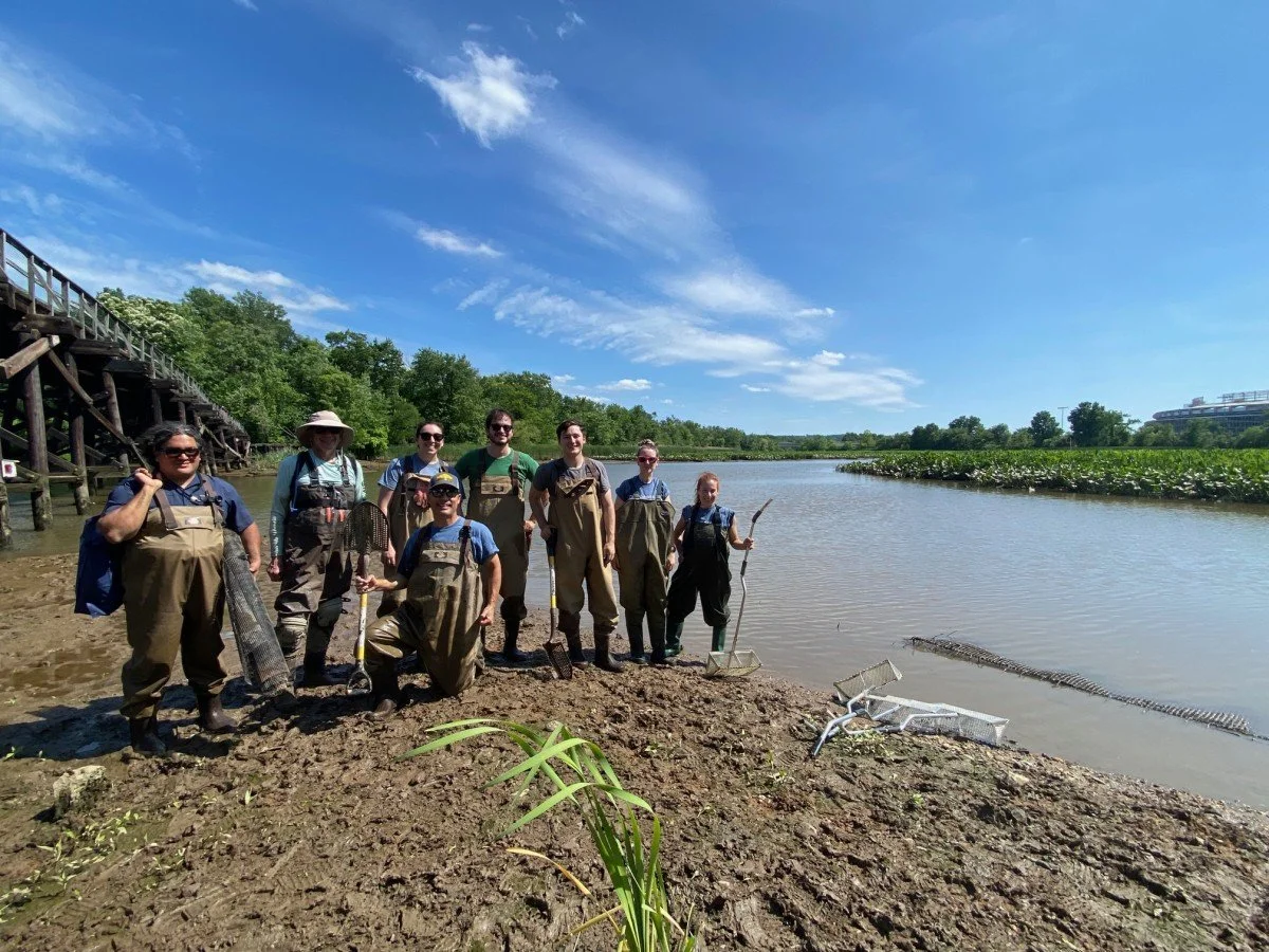 Mussel Bottom Cage Workday in Kingman Lake with Anacostia Watershed Society