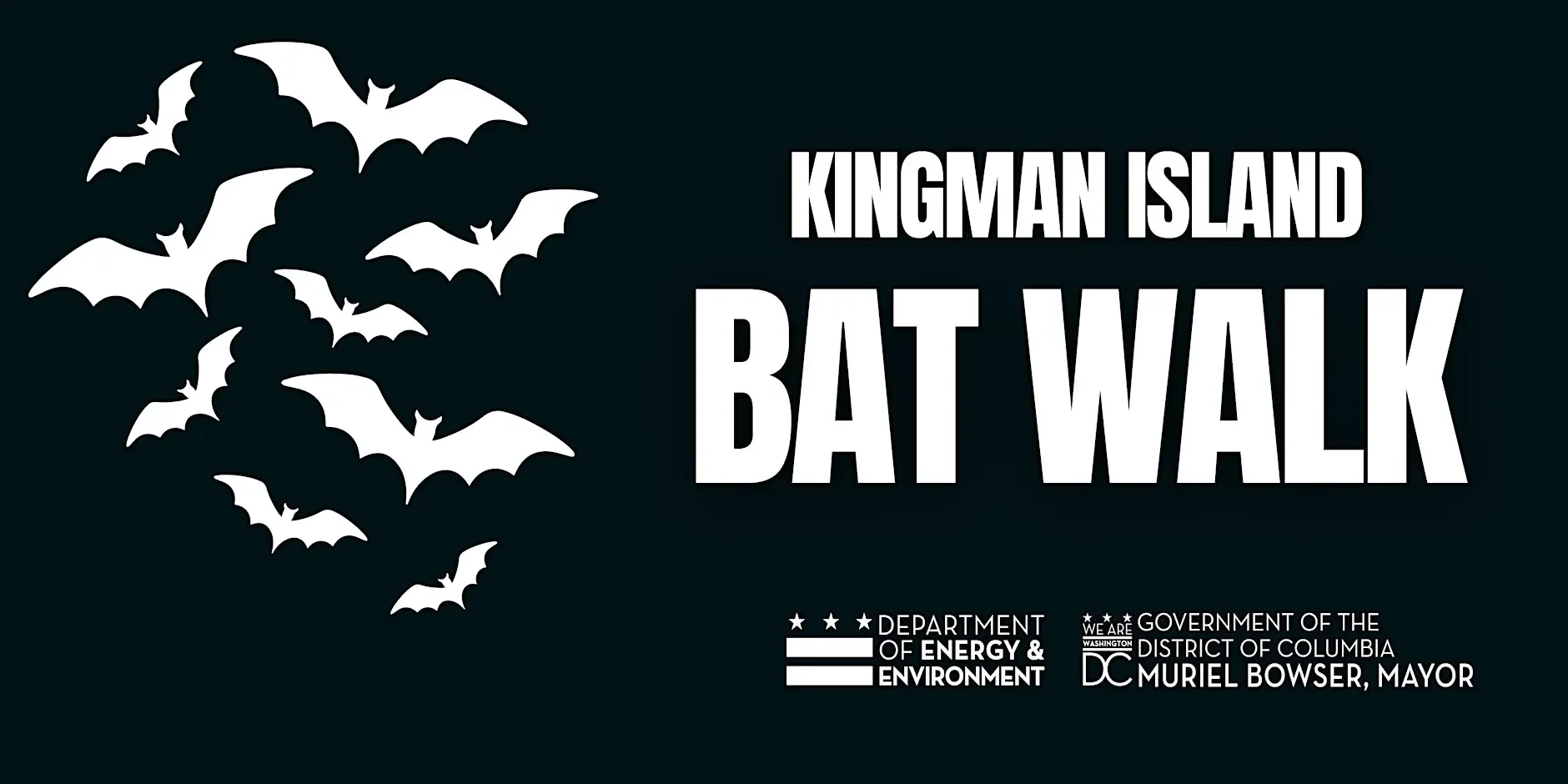 Canceled: Bat Walk