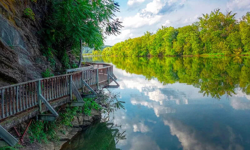 IJAMS Hike on March 20th at 9 am!