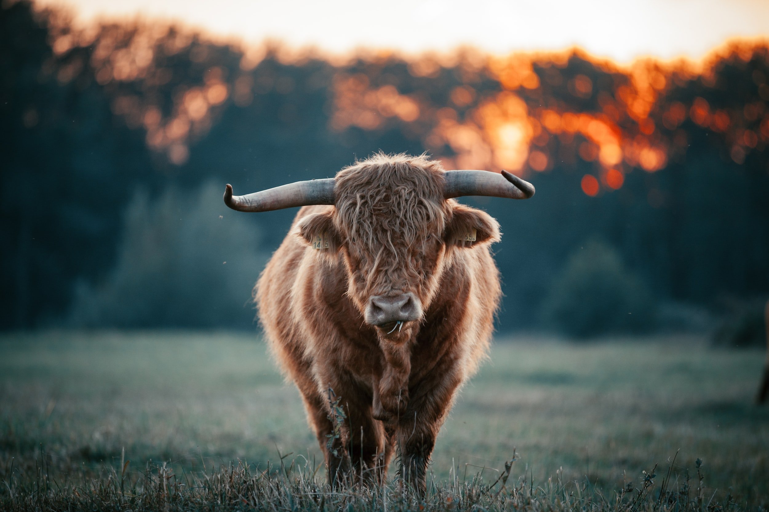 unsplash-image-UG3L8WAQLBs.jpg