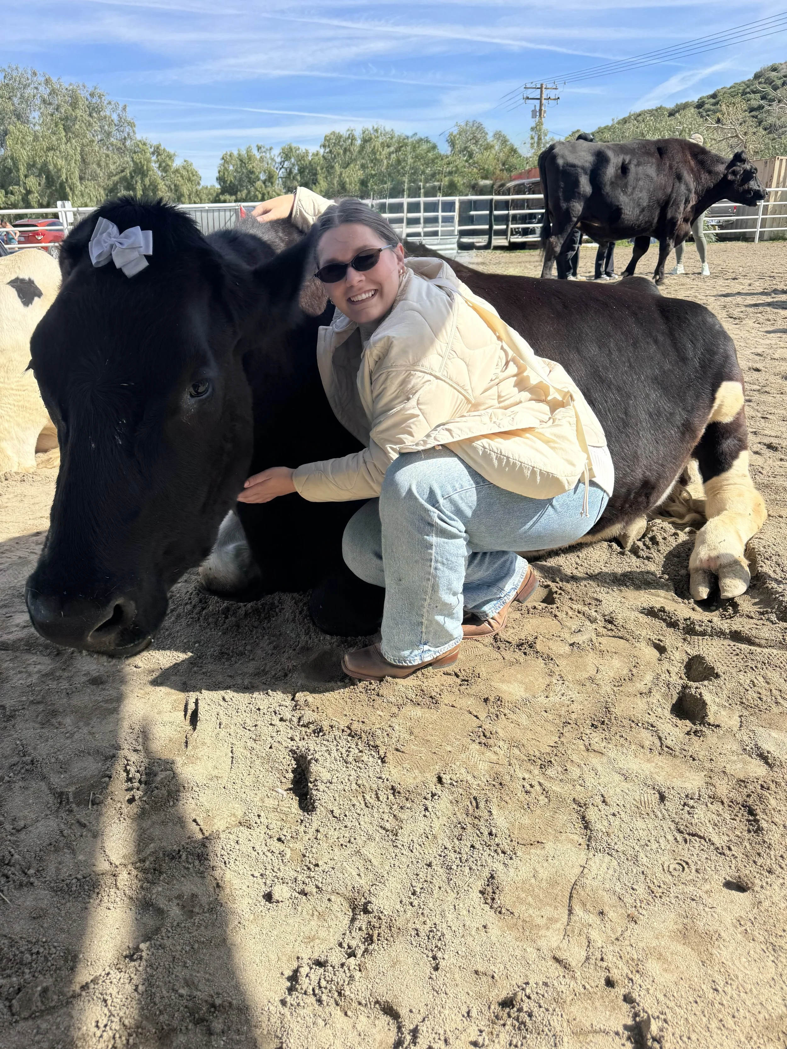Dr. Nicole Tibbits visiting a cow while exploring outdoors
