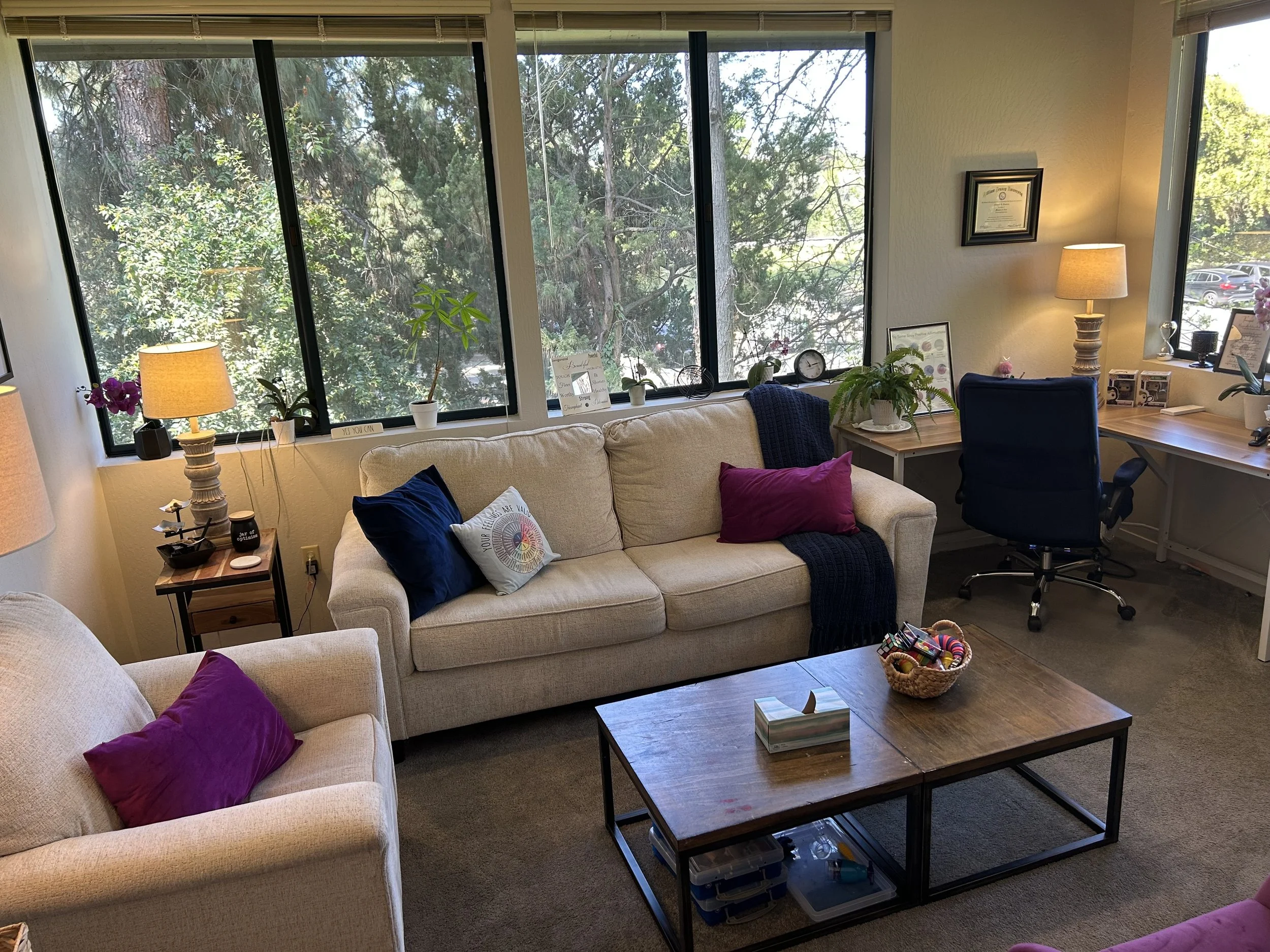 Best ADHD Therapist Near Me | Sacramento.jpg