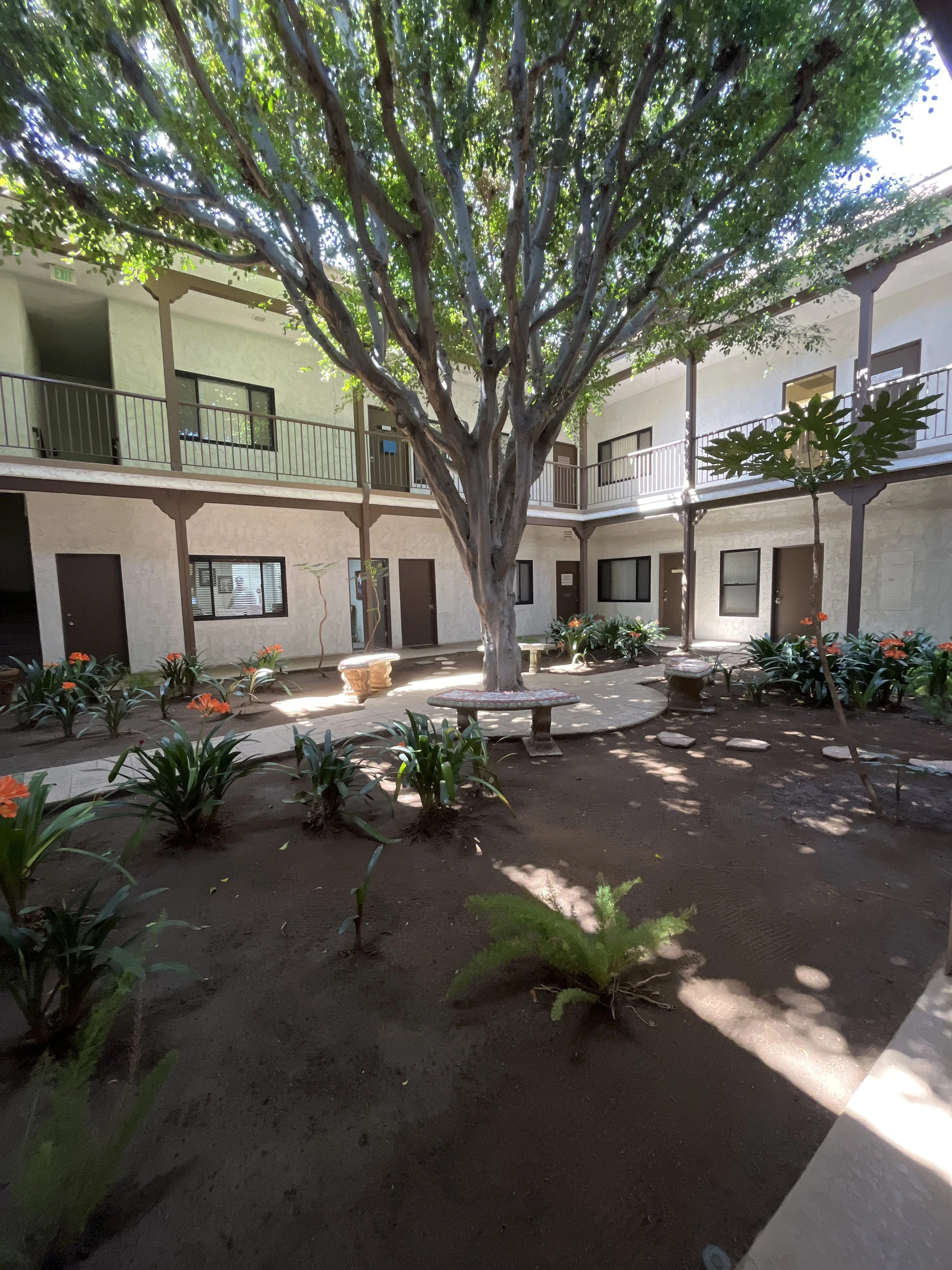 Courtyard with a large tree in the center, surrounded by benches, potted plants, and an apartment-style building with two floors and balconies.