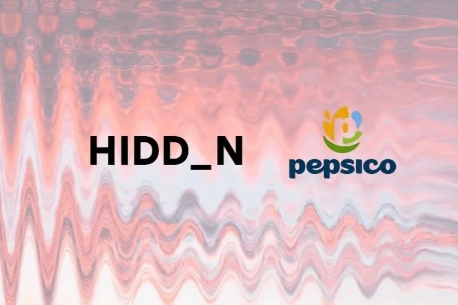 PepsiCo: Snack Innovation in the US