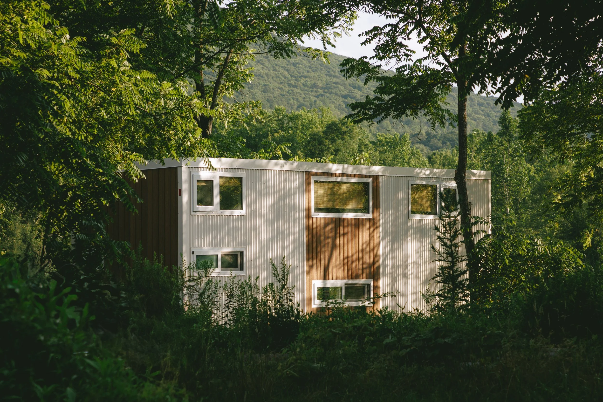 Exterior AI?.jpg