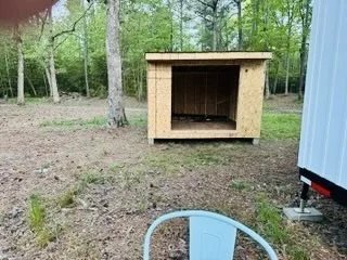 15 Shed.jpeg