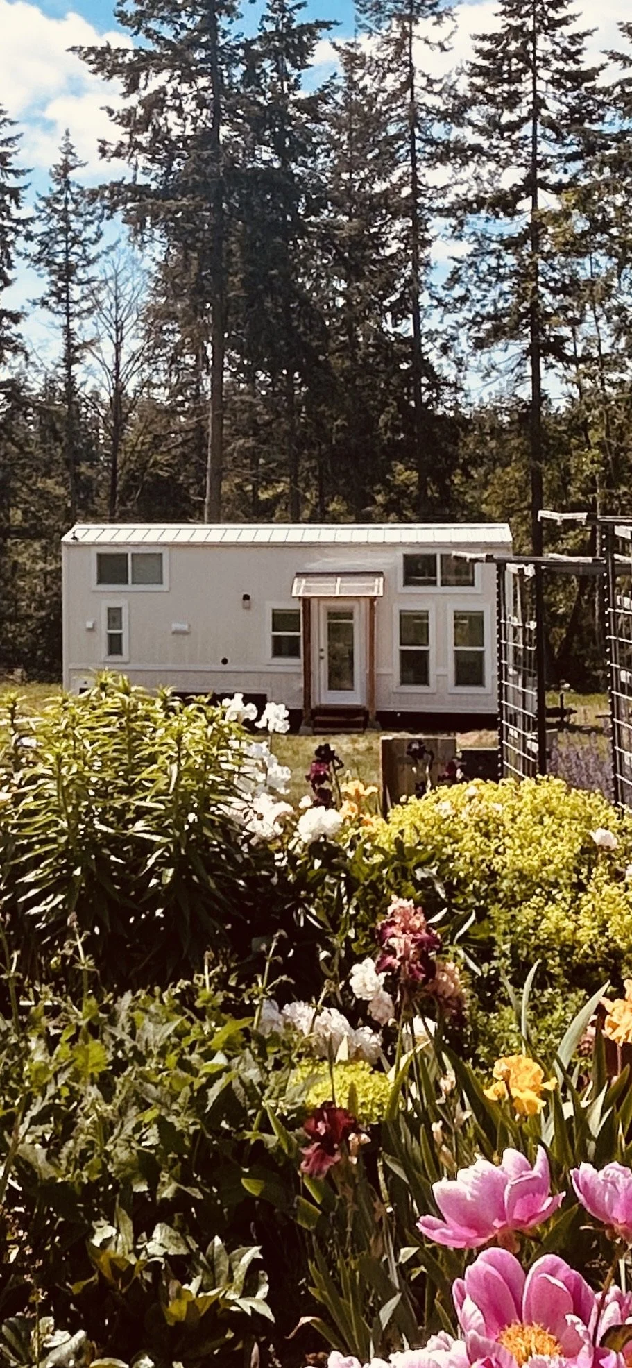 Exterior Whole House Garden.jpeg