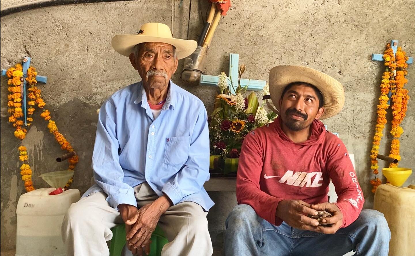 To source the agave used in Vol 6&rsquo;s batch of Papalote Velilla, Javier Barranca traveled to the region of Las Joyas, famous for its high quality maguey. He and his grandfather Ciro think the plants lived up to their reputation, but check out the