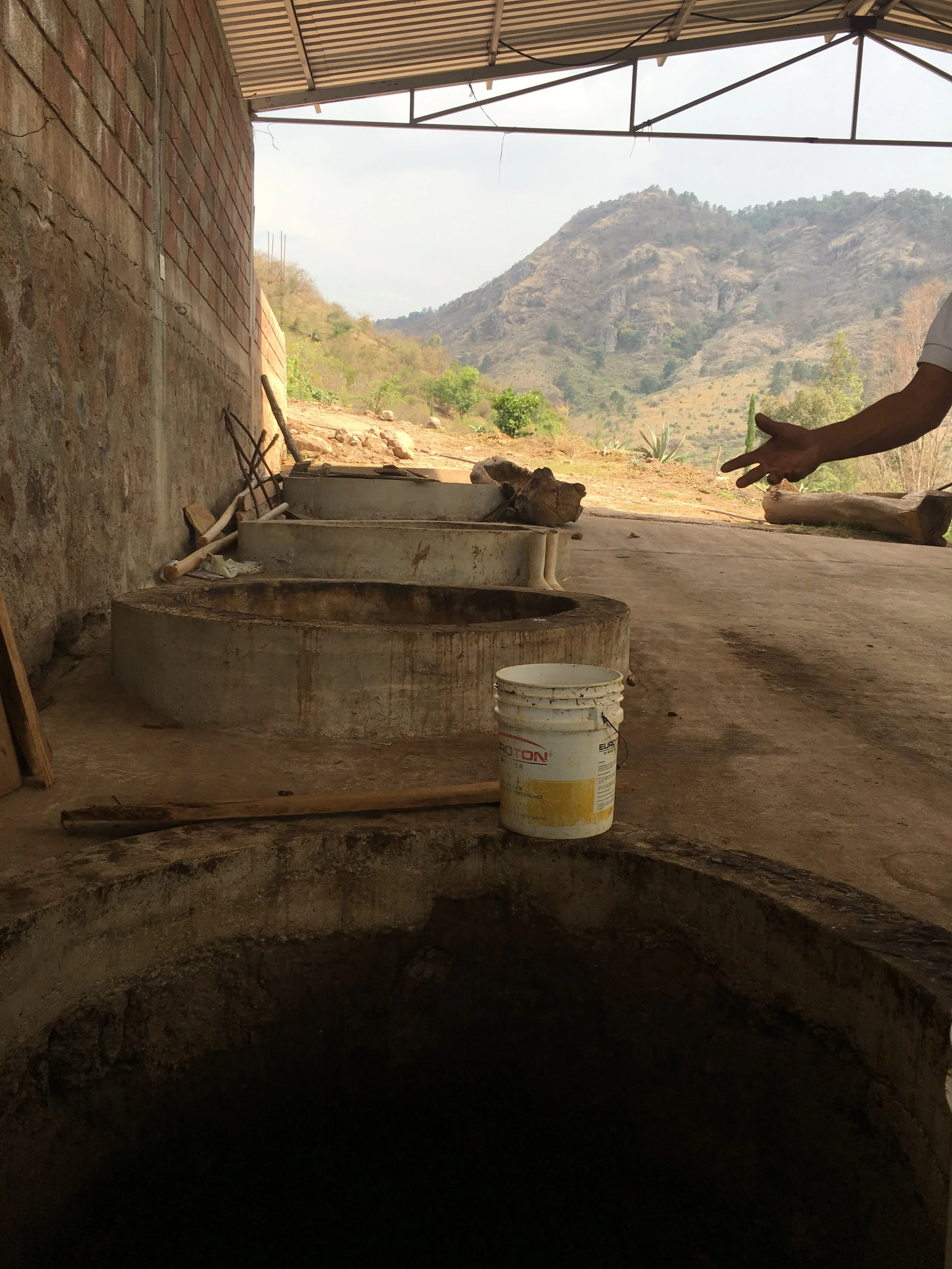 Several fermentation pits at Isidro's vinata