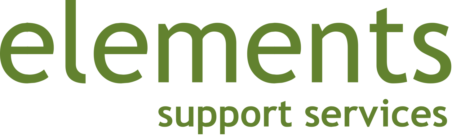 Elements Support Services