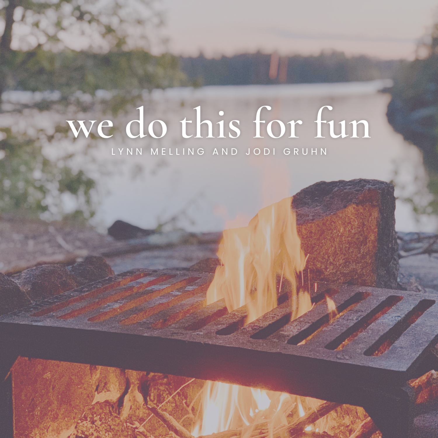 We Do This For Fun cover