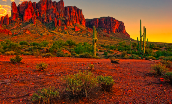 Screen Shot 2021-05-14 at 7.53.34 PM.png