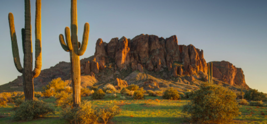 Screen Shot 2021-05-14 at 7.53.41 PM.png