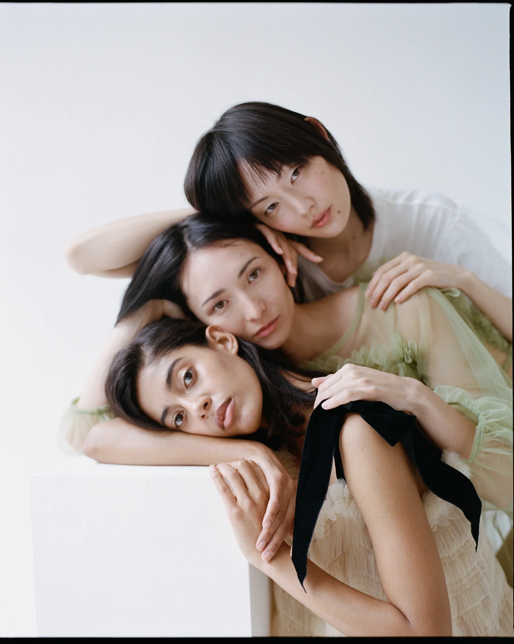 root ss19