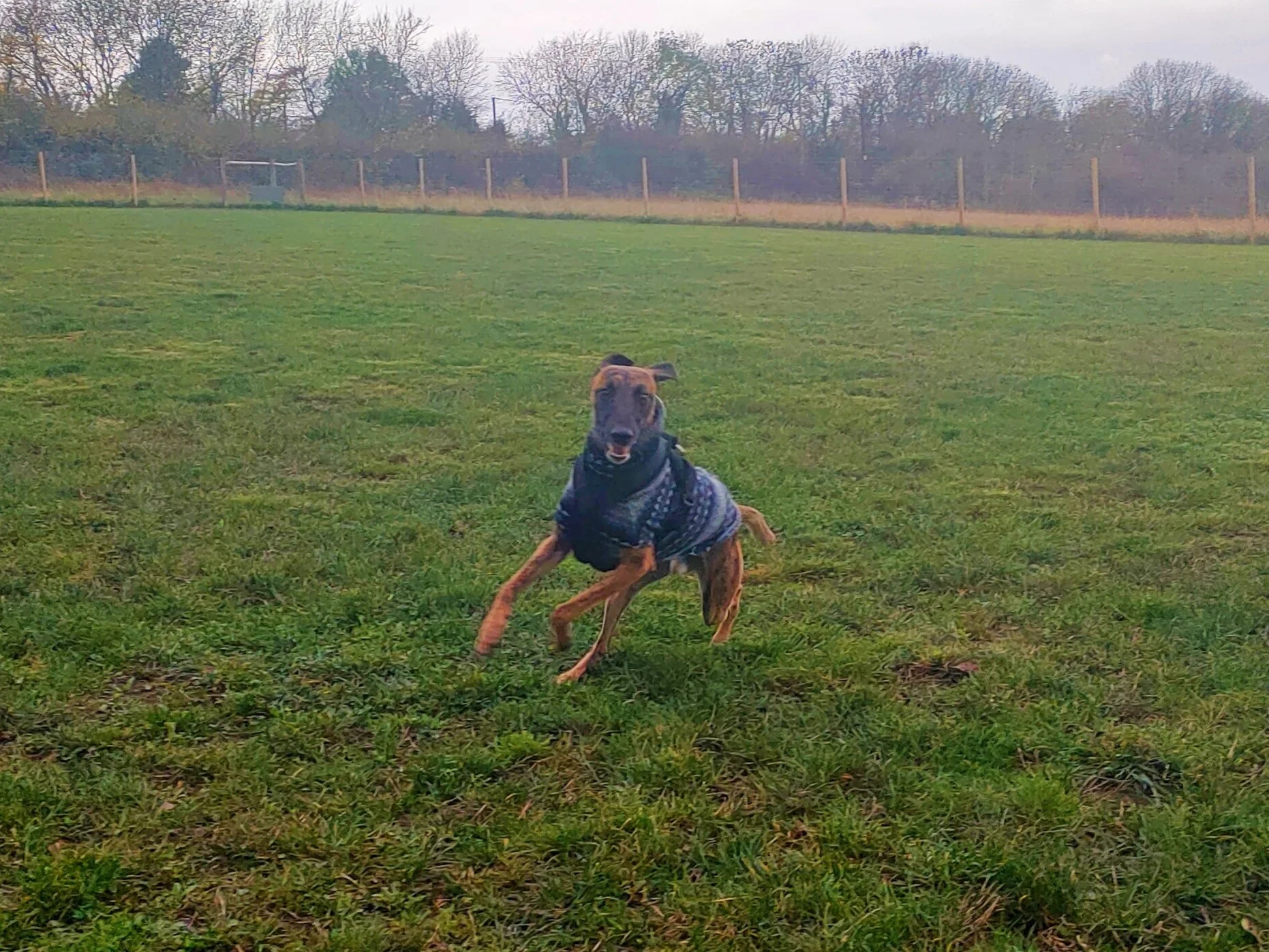 Building a Strong Foundation for Recall Training: Starting with Short Distances