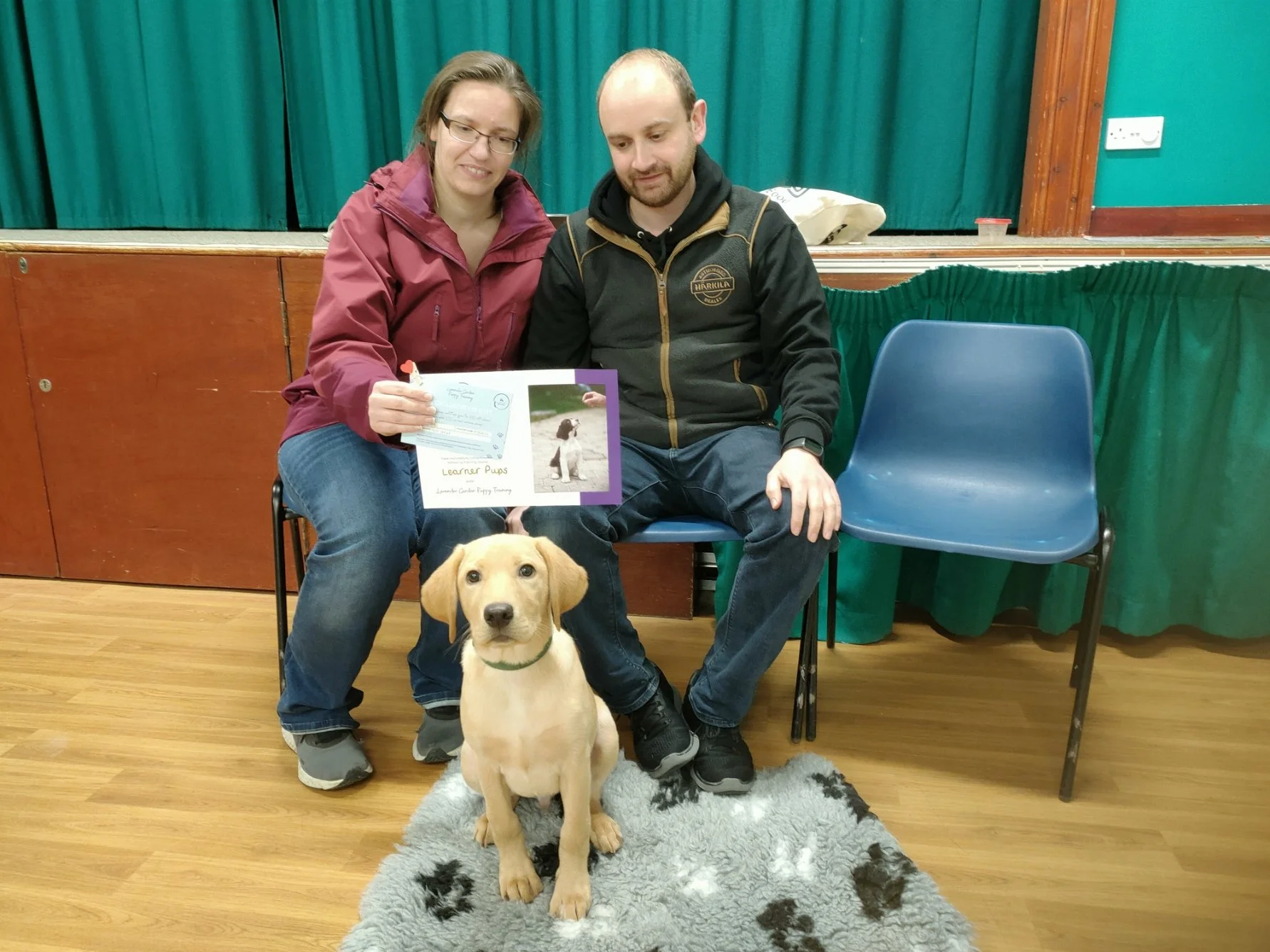 Navigating Tricky Puppy Behaviours: Your Ultimate Training Guide