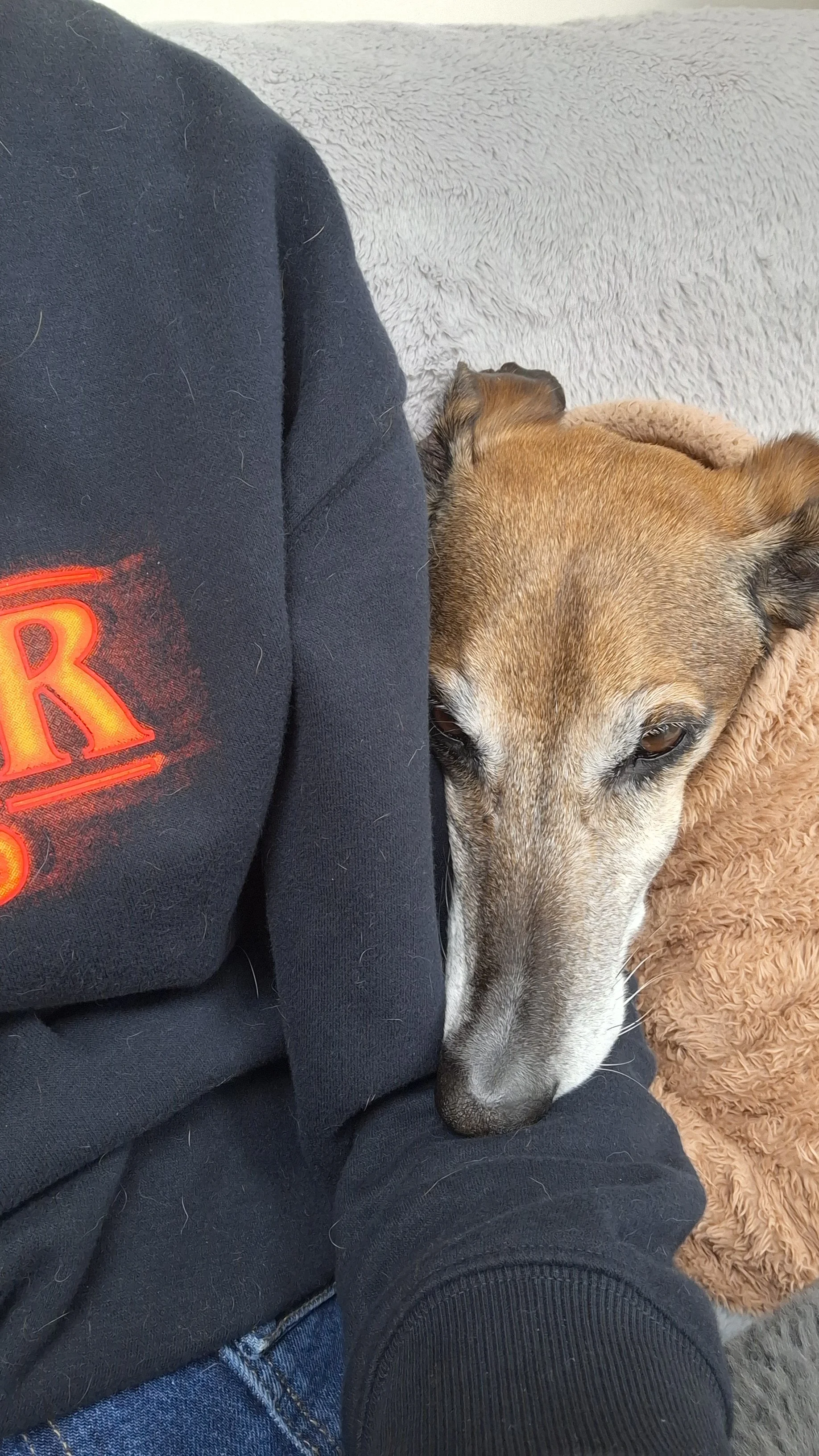 Your dog isn’t being naughty, they’re telling you something. Here's how to listen.