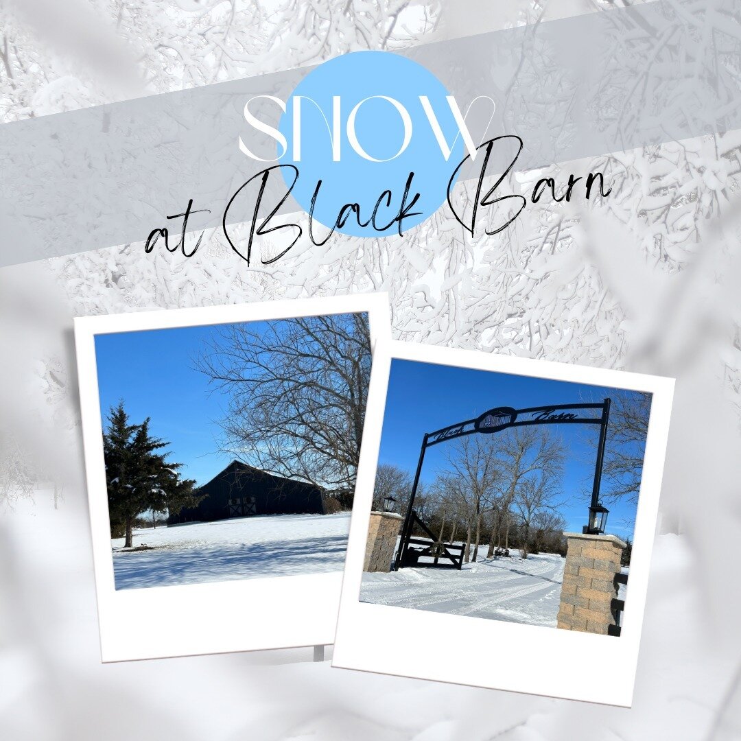 Taking in the beauty of the snow then running back inside because it's too cold ❄️ stay warm!⁠
⁠
⁠
⁠
⁠
#rusticwedding #supportlocal #blackbarn