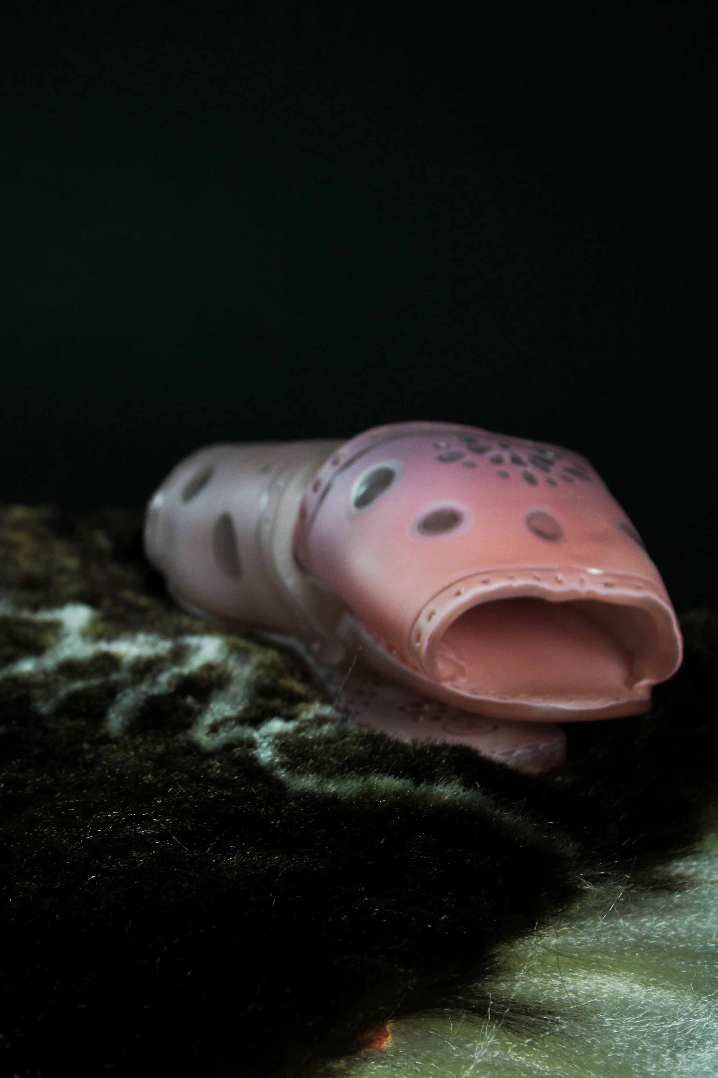 If the shoe fits_-5608.jpg