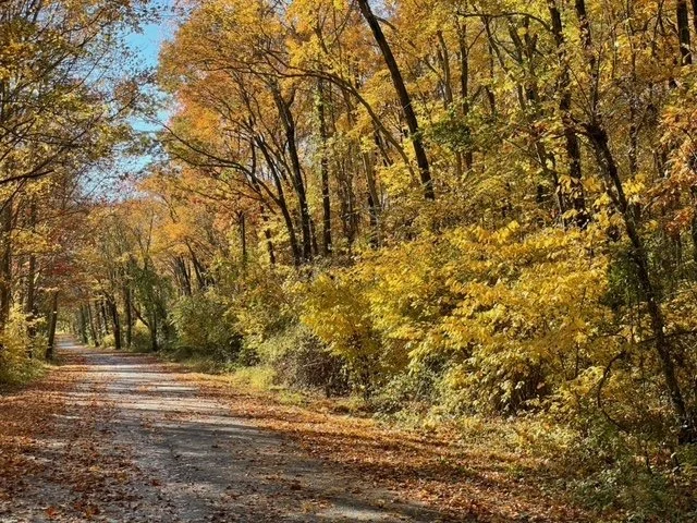 The drive to Essex Skypark
