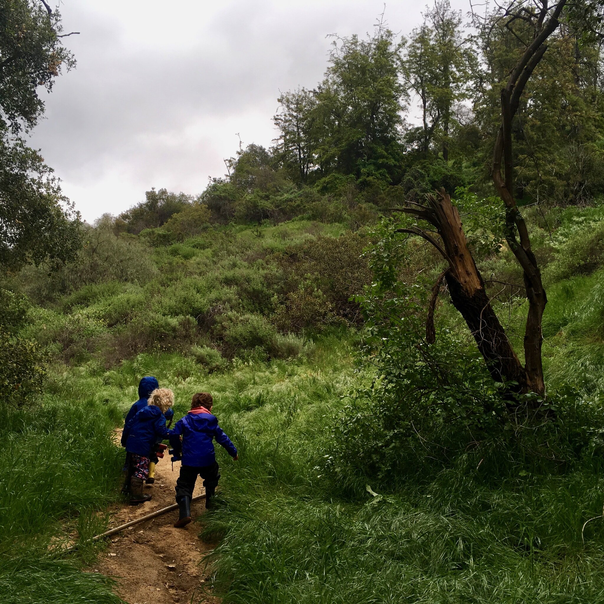 Southern California Nature Kids: Land (Digital Download) — SoCal Nature Kids