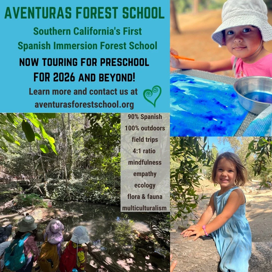 💚 Now touring for preschool for 2026 and beyond at Southern California's first Spanish immersion forest school! To learn more and contact us, please visit our website at aventurasforestschool.org or see the link in our bio. Led by a Harvard-trained 