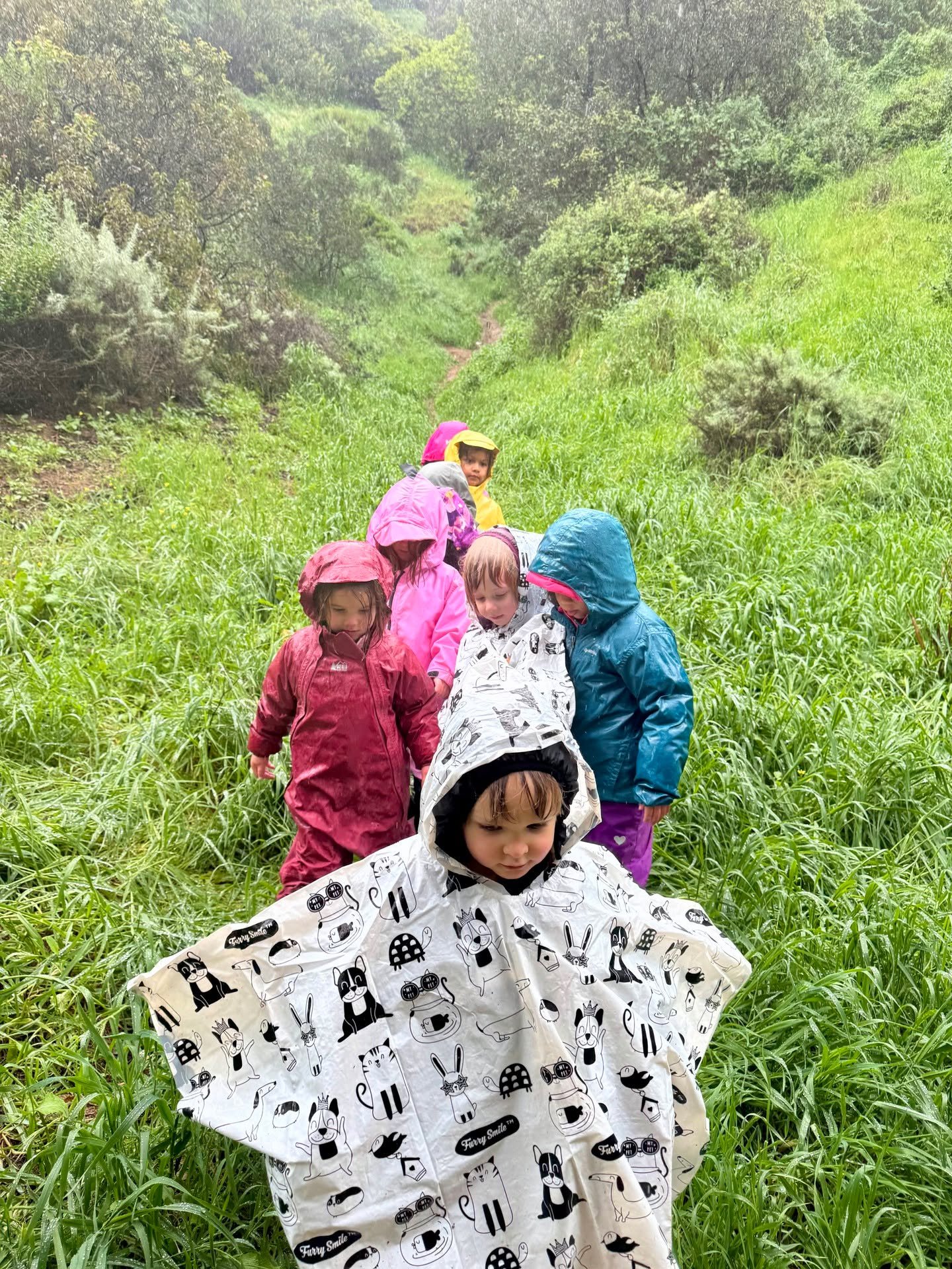 🎶&iexcl;Que llueva, que llueva! 
🌧️This morning we had light rain and the kids were very excited to explore the green and misty trails around us! We saw a mushroom and some surprisingly bright milk thistle and lots of native plants. Later it starte