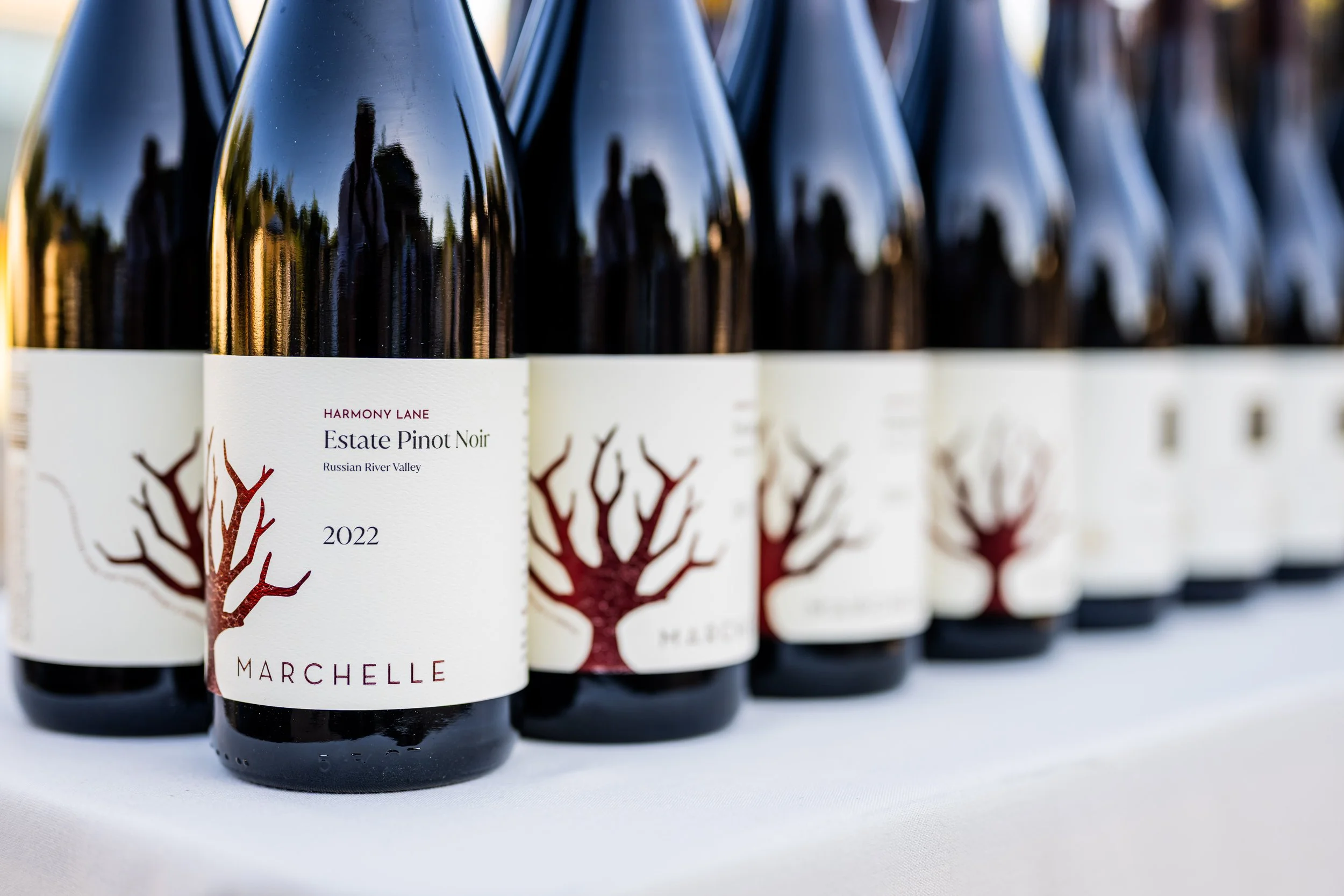Harmony-Lane-Pigs-and-Pinot.jpg