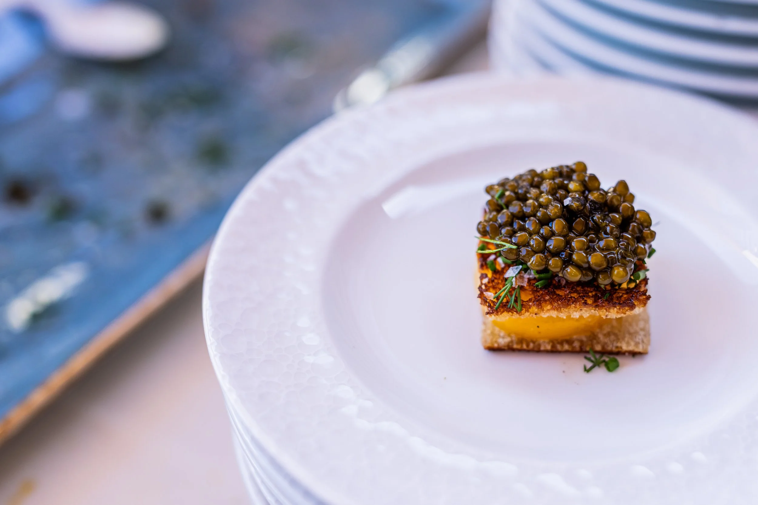 Pinot-Nor-Cup-Food-Caviar-Pigs-and-Pinot.jpg