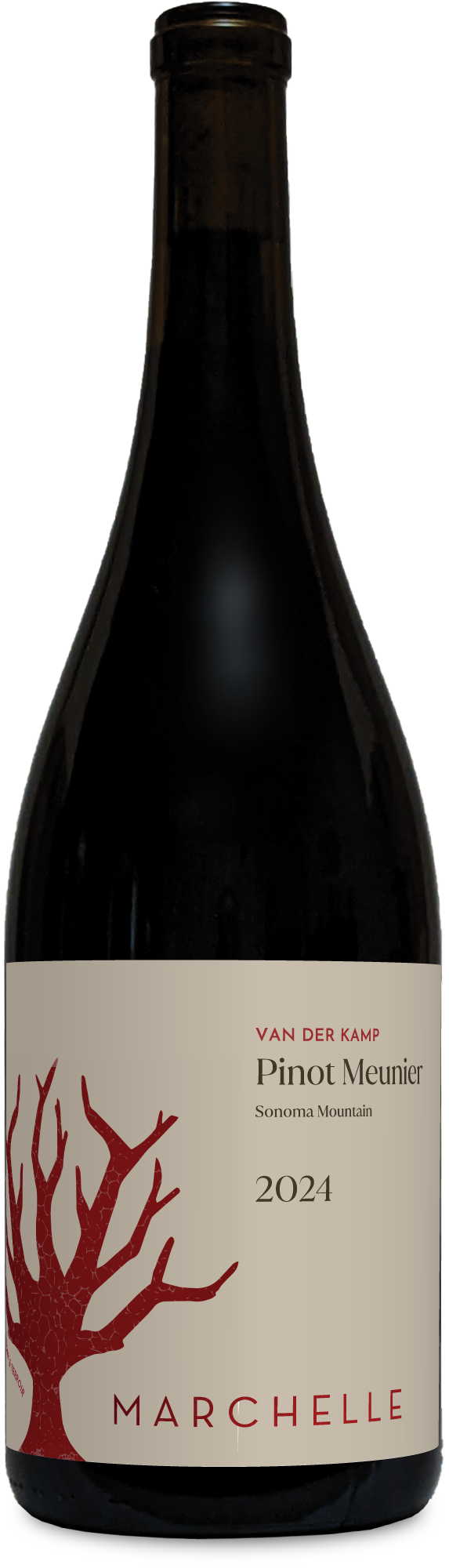 2024 van der Kamp Pinot Meunier