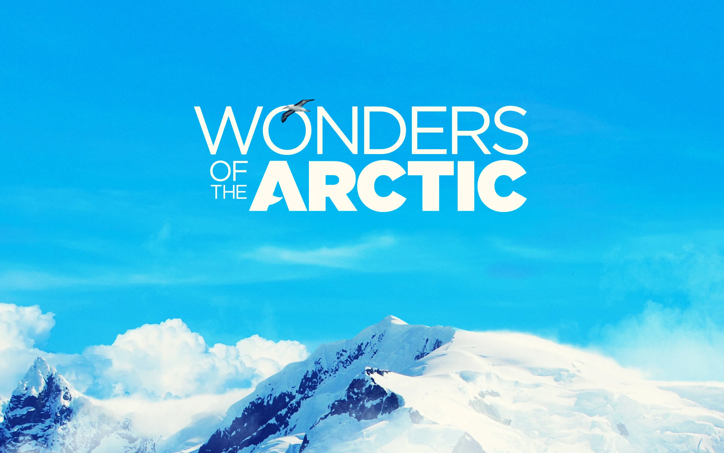LOGO_12.jpg