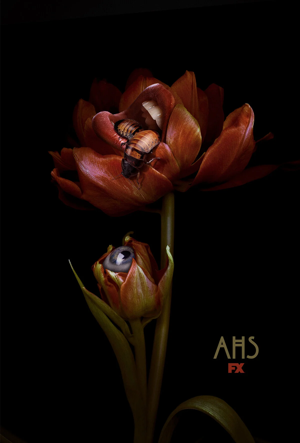 KEY_ART_2_49.jpg