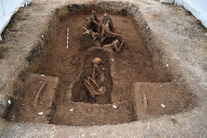 A New Iron Age Cart Burial