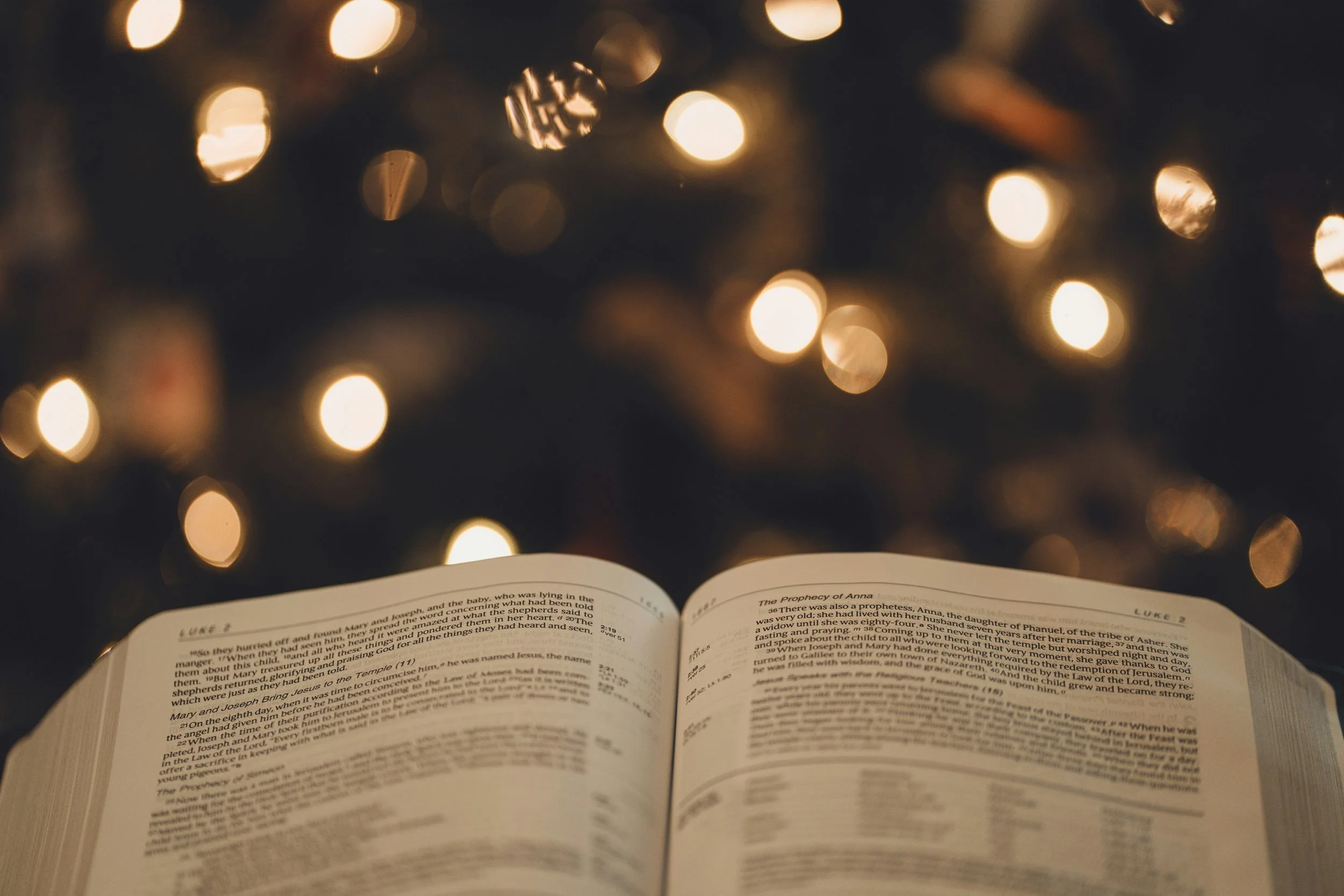 January’s Reads