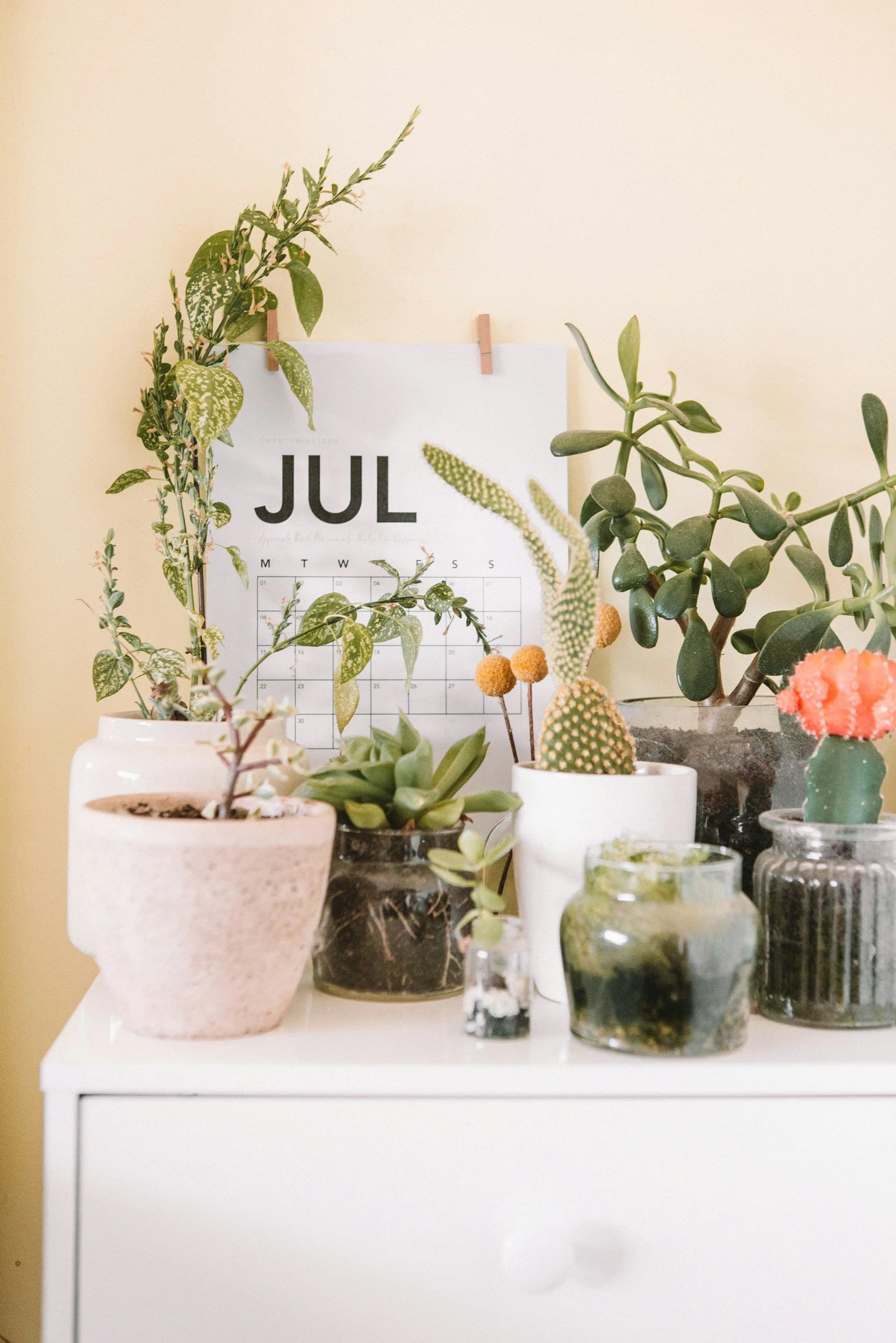 July’s Reads
