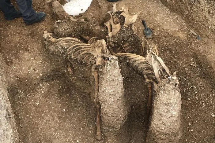 the skeletal remains in the pocklington burial