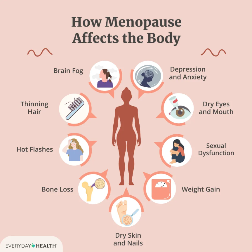 how menopause affects the body by everyday health
