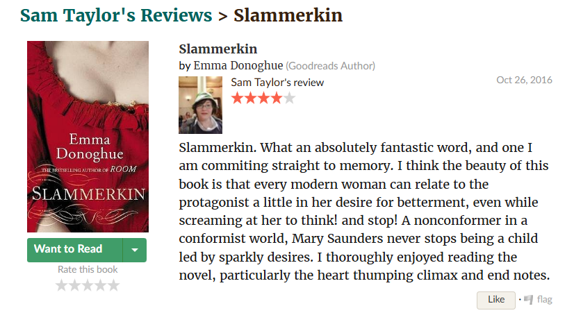 Image of my Slammerkin review on Goodreads