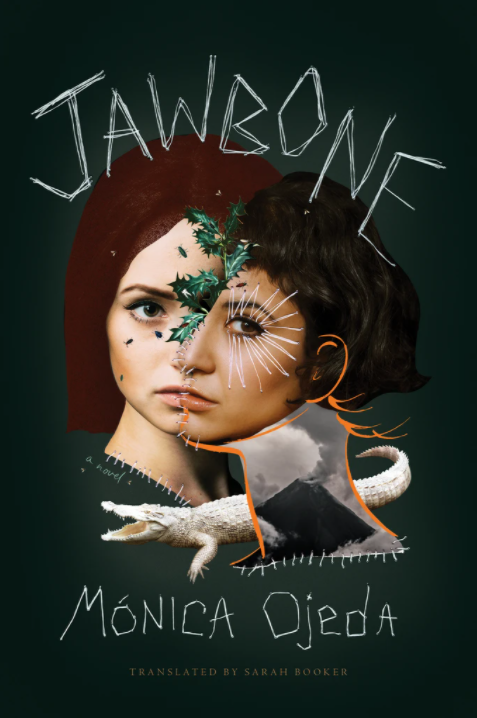 sleeve of the book jawbone